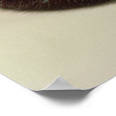 Poster Couronne de Karan (Coin)