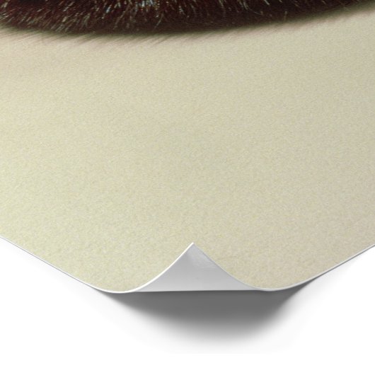 Poster Couronne de Karan (Coin)