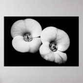 Poster couronne d'épines (Devant)