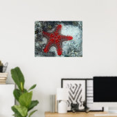 Poster Couronne D'Épines Épée Sur La Barrière De Corail (Bureau à domicile)