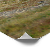 Poster Couronné en Majesté (Coin)