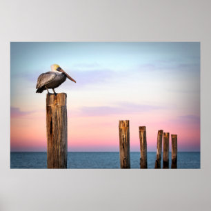 Poster Courriers et une plage du pélican Fort Myers, la