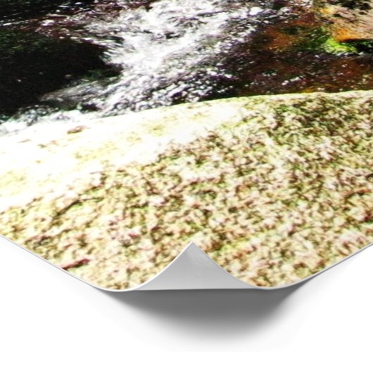 Poster cours de forêt (Coin)