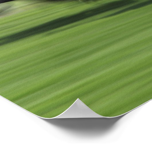 Poster course à cheval (Coin)