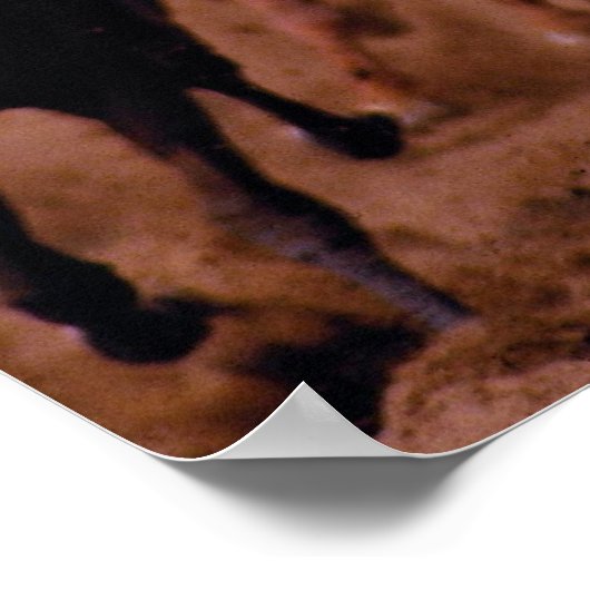 Poster Course à cheval (Coin)