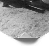 Poster Course automobile Springfield : 1900 (Coin)