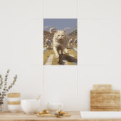 Poster Course de chats, piste et terrain (Cuisine)