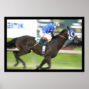 Poster Course de chevaux