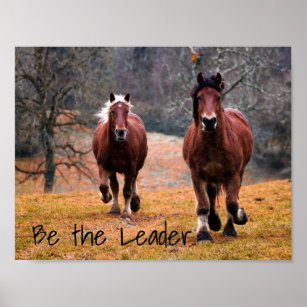 Poster Course de chevaux sauvages à Woods