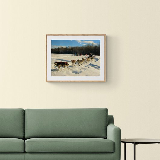 Poster Course de chiens de traîneau Iditarod Trail