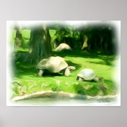 Poster Course de tortues (Devant)