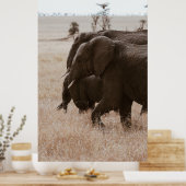 POSTER COURSE D'ÉLÉPHANTS (Cuisine)