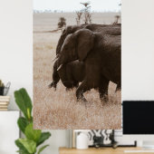 POSTER COURSE D'ÉLÉPHANTS (Bureau à domicile)