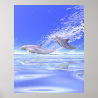 Course des dauphins