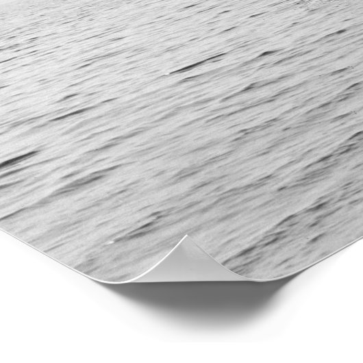 Poster Course Sloop Oweene, 1891 (Coin)