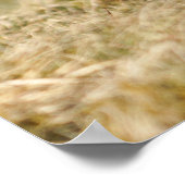 Poster Courtoisie du faisan (Coin)