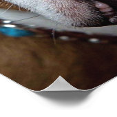 Poster Coussin de jet de Bouledogue Anglais (Coin)