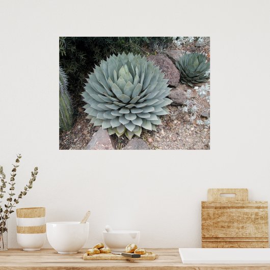 Poster Couts' Agave ~Print~ (Cuisine)