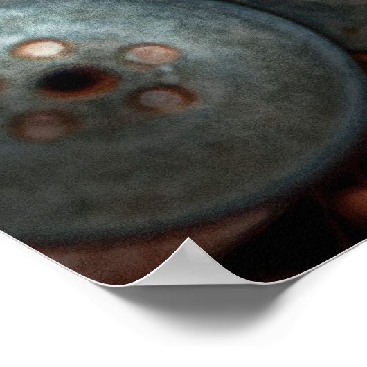 Poster Couture - Poissons (Coin)