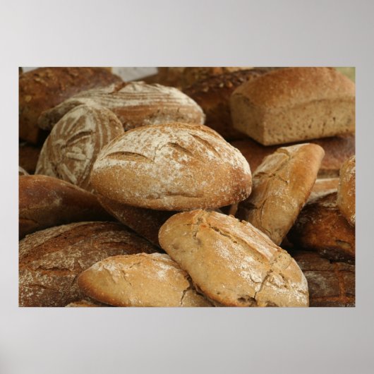 Poster couvain (Devant)