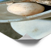 Poster Couvercle d'un bocal d'albâtre décoré d'un oiseau (Coin)