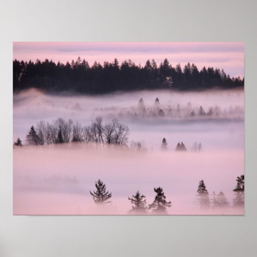 Poster Couverture de brouillard rose. (Devant)