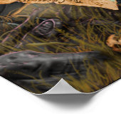 Poster Couverture de la zone de visibilité de la région d (Coin)