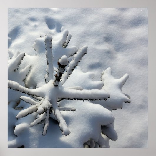 Poster Couverture de neige (Devant)