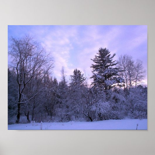 Poster Couverture d'hiver (4) (Devant)