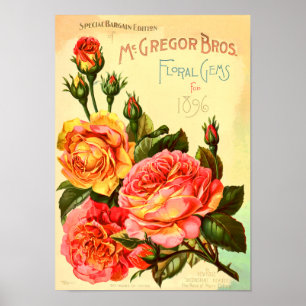 Poster Couverture du catalogue des semences Vintages des 