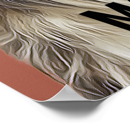 Poster Couverture du magazine Collie Parody (Coin)