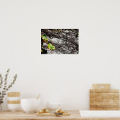 Poster Couverture du mur (Cuisine)