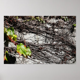 Poster Couverture du mur
