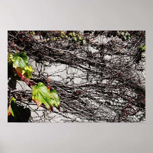 Poster Couverture du mur (Devant)