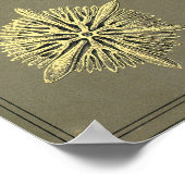 Poster Couverture Kunstformen der Natur (Coin)