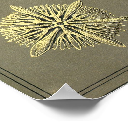 Poster Couverture Kunstformen der Natur (Coin)