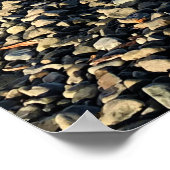 Poster Cove at Seaside, Oregon (Coin)