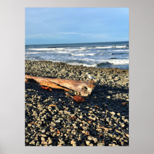 Poster Cove at Seaside, Oregon