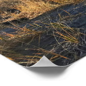 Poster Cove at Seaside, Oregon (Coin)