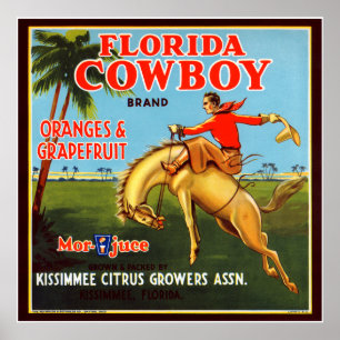 Poster Cow-boy de Floride