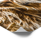 Poster Cow Coo de Highland (Coin)