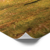 Poster Cow - Time for milking (Coin)