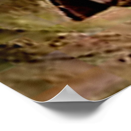 Poster Cowboy (Coin)