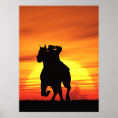 Poster Cowboy (Devant)