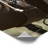 Poster Cowboy 2 (Coin)