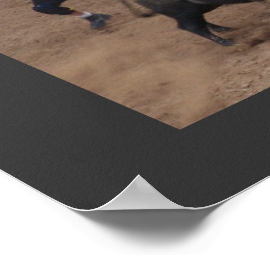 Poster Cowboy 911 (Coin)