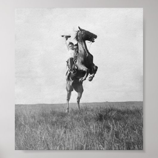 Poster Cowboy Rides Bronco (Devant)