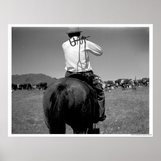 Poster Cowboy sur un cheval avec deux marques. (Devant)