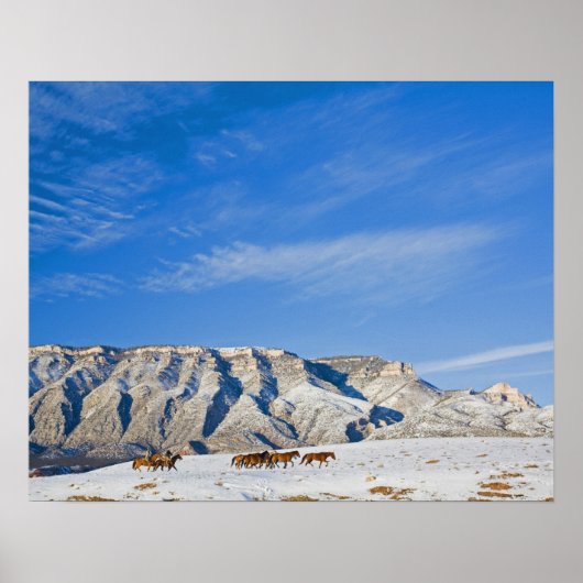 Poster Cowboys avec l'oreille des chevaux (Devant)