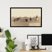 Poster Cowboys Roping A Buffalo SD 1887 (Bureau à domicile)